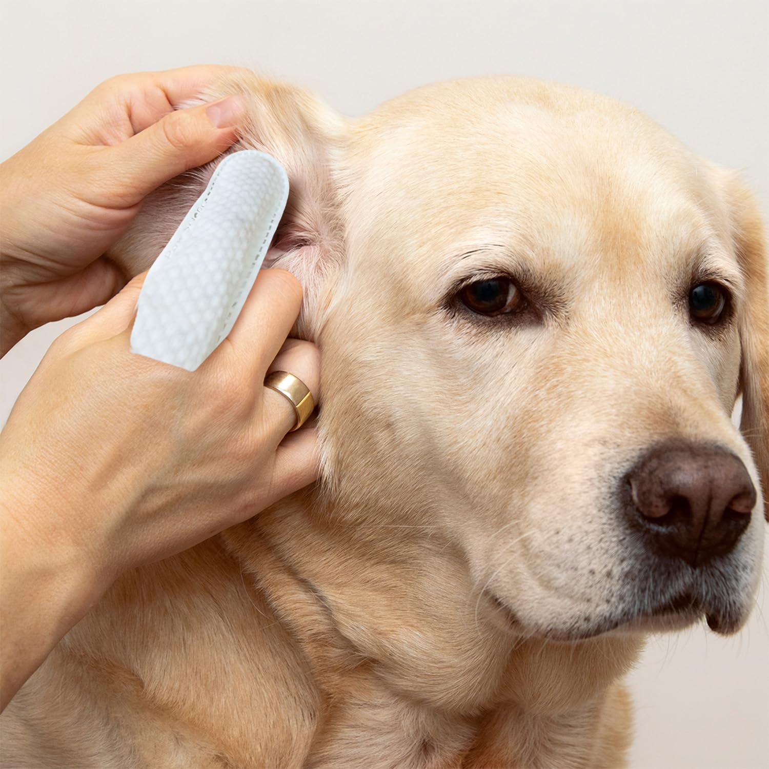 Paw Science Dog Ear Cleaner Wipes – Finger Wipes for Dogs & Cats – Cleaning, Soothing, & Deodorizing Itchy Ears – Pet Ear Relief Solution (Coconut) - Image 6