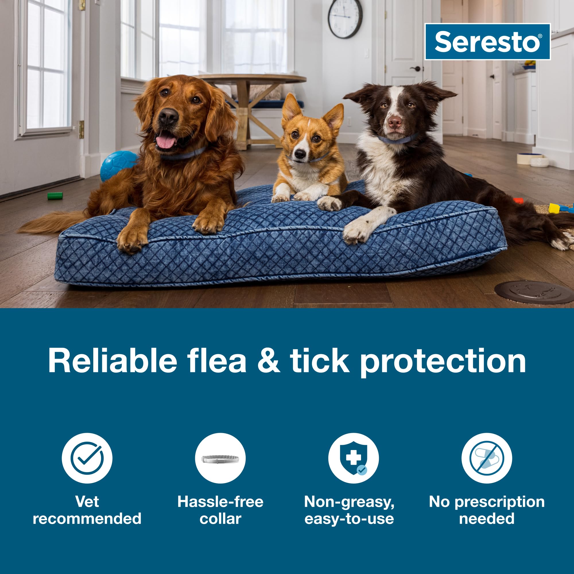 Seresto Flea & Tick Collar For Dogs Over 18 lbs., Treatment & Prevention, Vet-Recommend, 8 Month Protection - Image 9